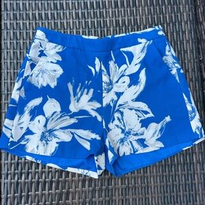 Lucy Paris Blue and White Floral Shorts